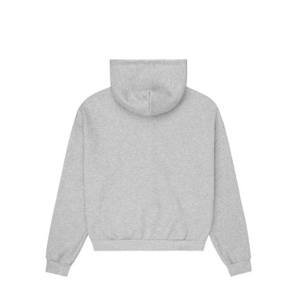 Experiment Five PHYS.ED Hoodie Grey