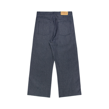 Experiment Five PinsTripe Blue